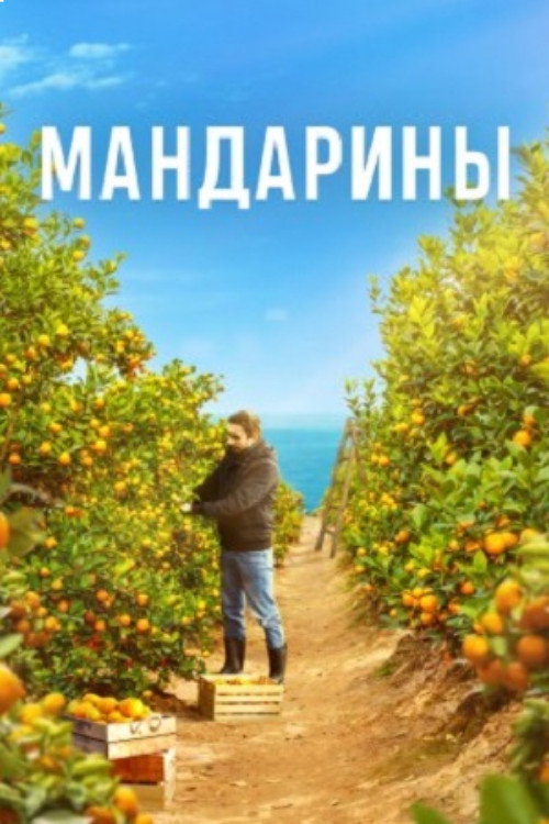Mandarins poster