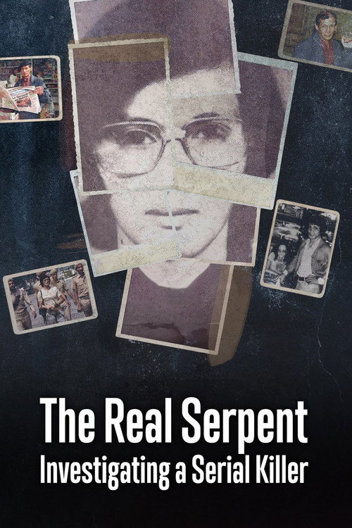 The Real Serpent: Investigating a Serial Killer poster