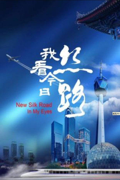 我看今日丝路 poster