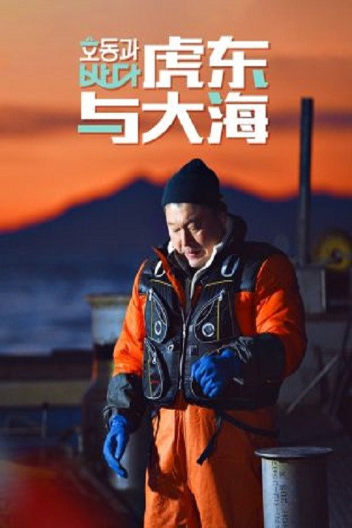 虎东与大海 poster