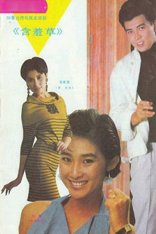 含羞草 poster