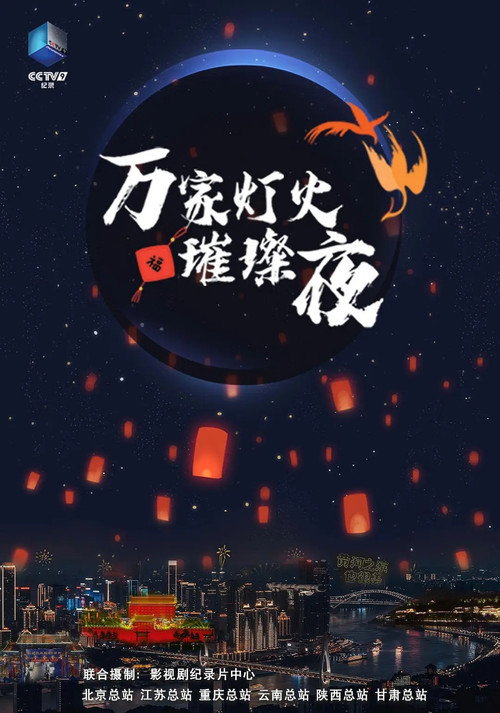 万家灯火璀璨夜 poster