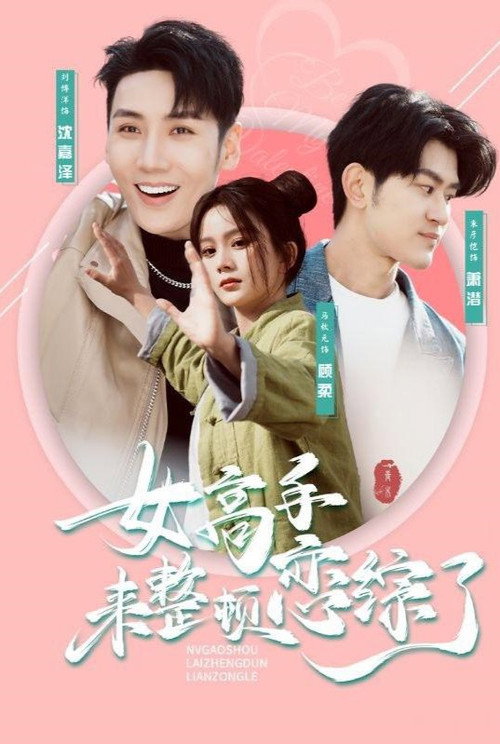 女高手来整顿恋综了 poster