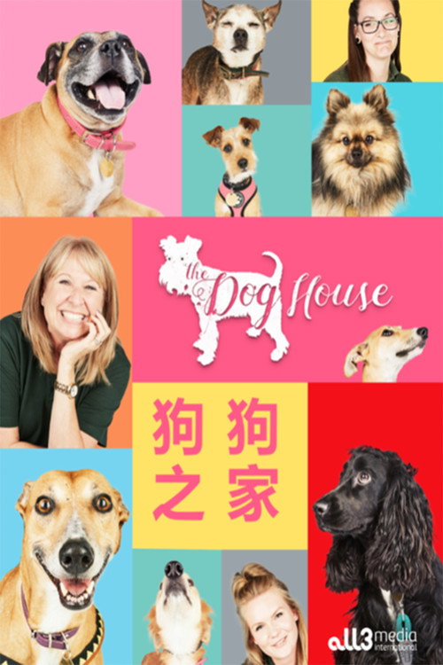 狗狗之家 poster