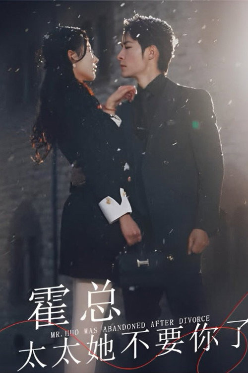 霍总太太她不要你了 poster