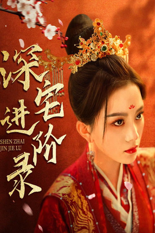 深宅进阶录 poster