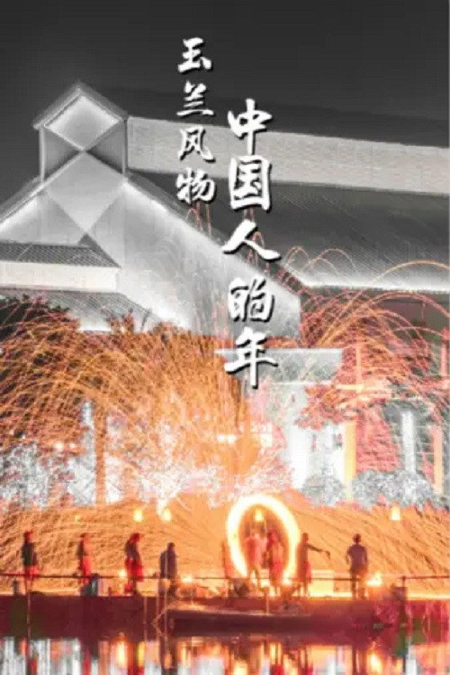 中国人的年 poster