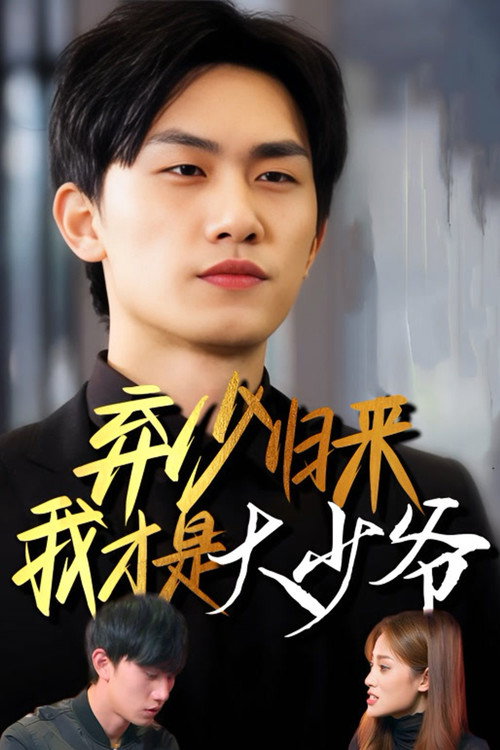 弃少归来我才是大少爷 poster