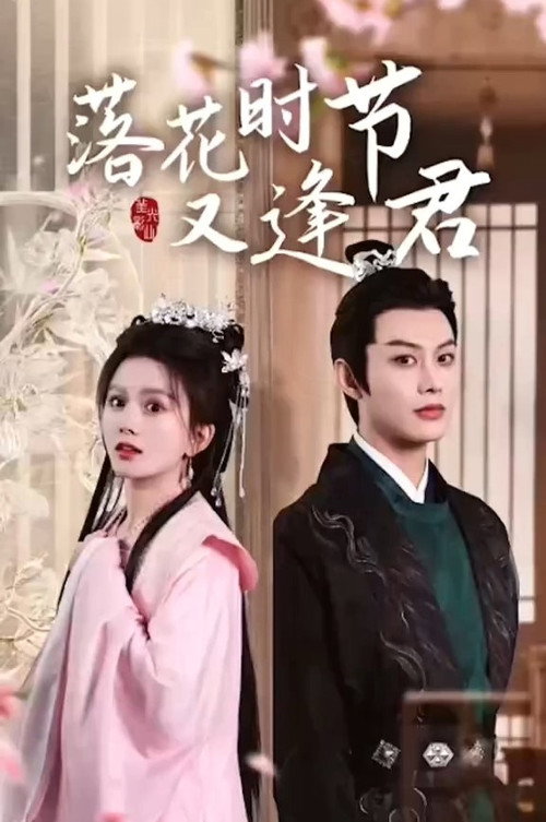 落花时节又逢君 poster