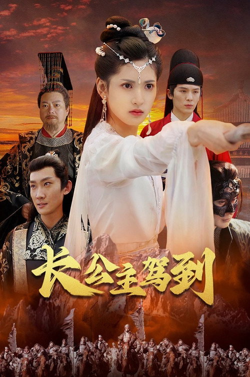 长公主驾到 poster