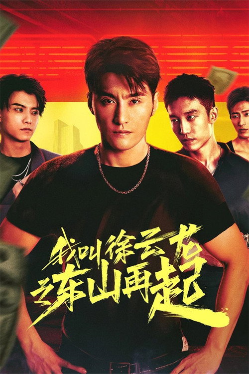 我叫徐云龙之东山再起 poster
