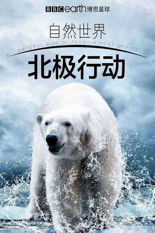 北极行动 poster