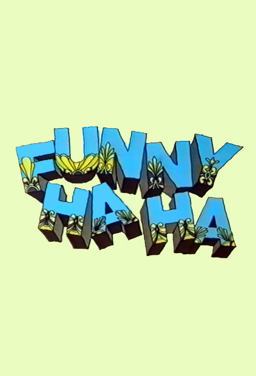 Funny Ha Ha poster