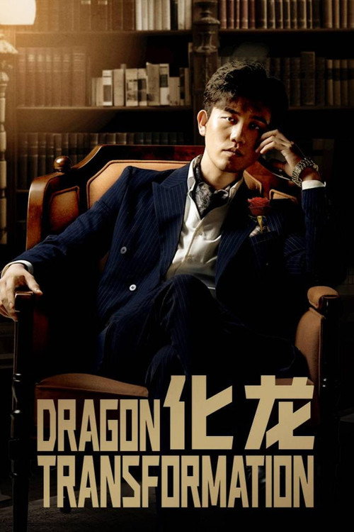 化龙 poster