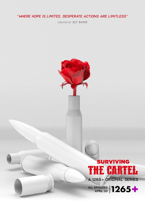 Sobreviviendo al cártel poster