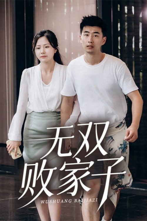 无双败家子 poster