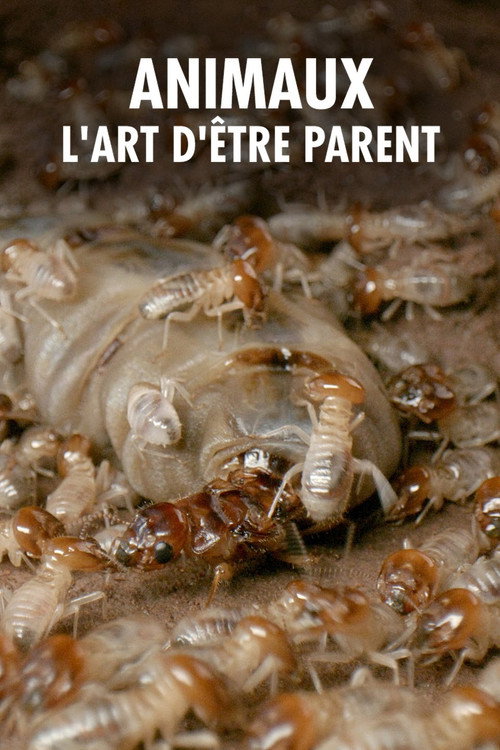 Wilde Eltern poster