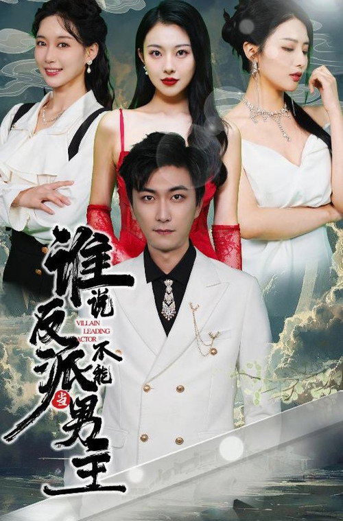 谁说反派不能当男主 poster