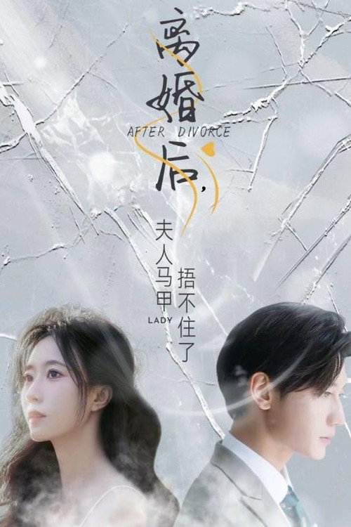 离婚后,夫人马甲捂不住了 poster
