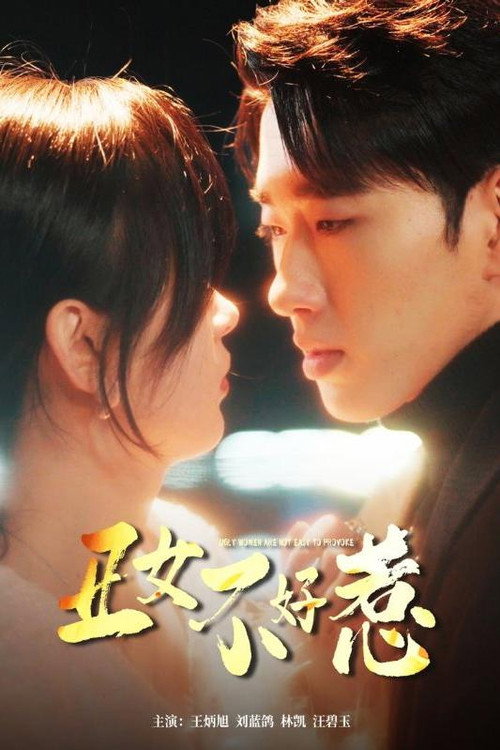 丑女不好惹 poster
