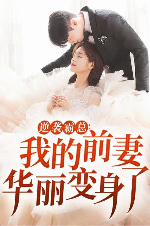 逆袭霸总:我的前妻华丽变身了 poster