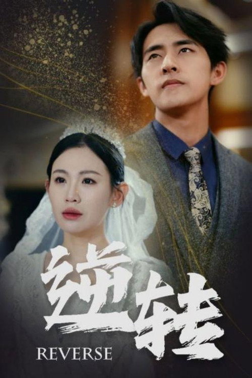 逆转 poster