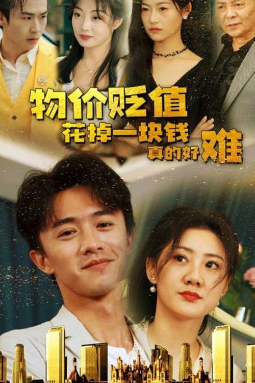物价贬值花掉一块钱真的好难 poster