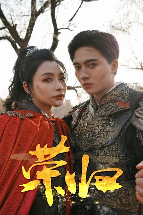 荣归 poster