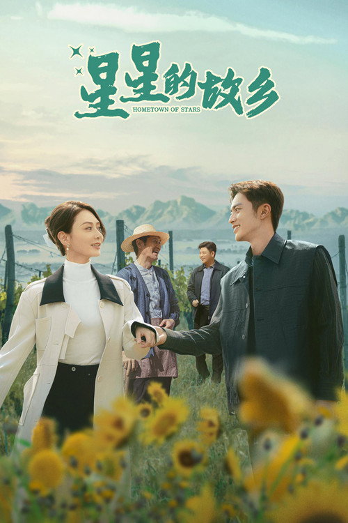 Hometown of Stars poster