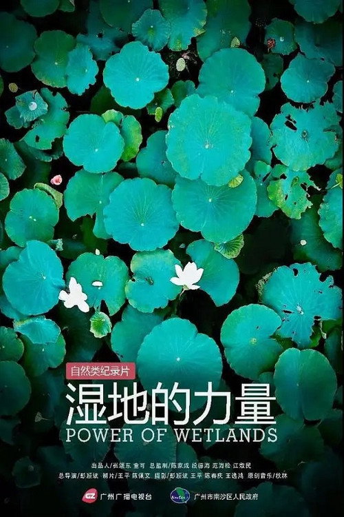 湿地的力量 poster