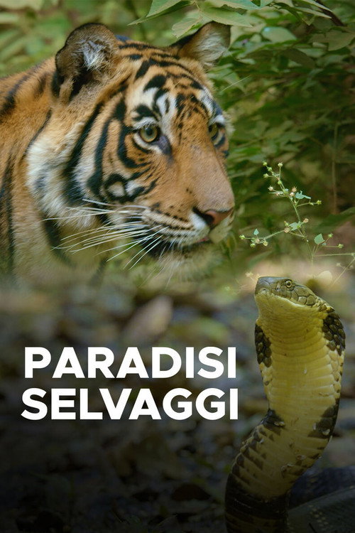 Paradisi selvaggi poster