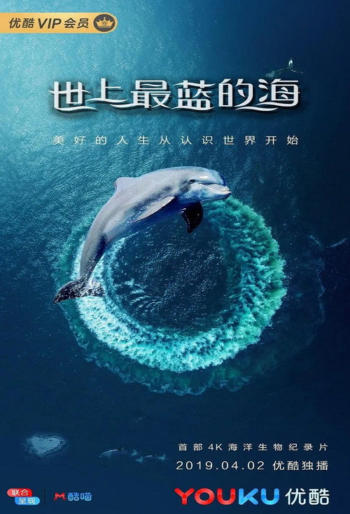 Great Barrier Reef: A Living Treasure poster