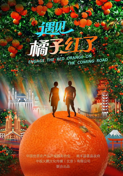 遇见·橘子红了 poster