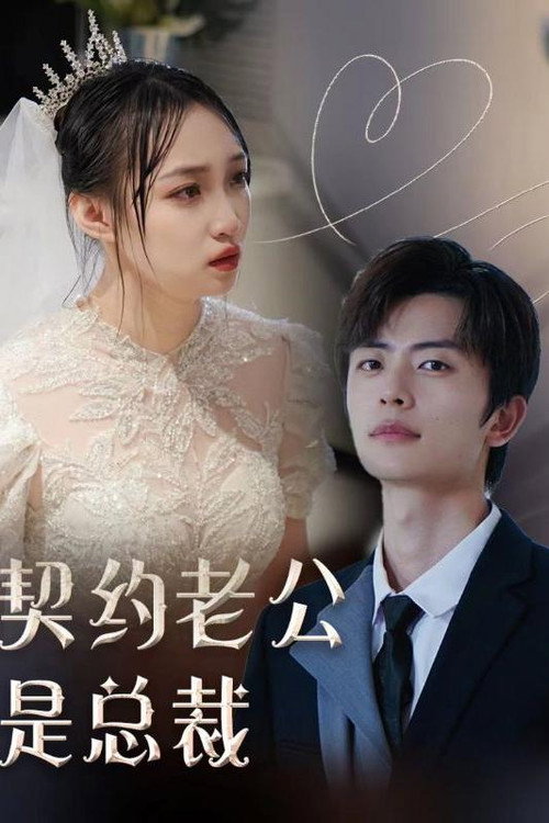 契约老公是总裁 poster