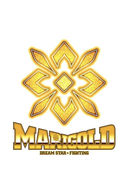 Dream Star★Fighting Marigold poster