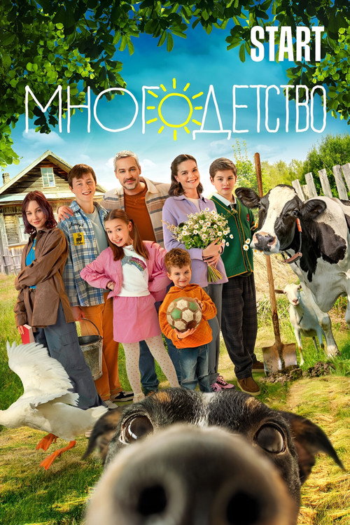 Having Many Children poster