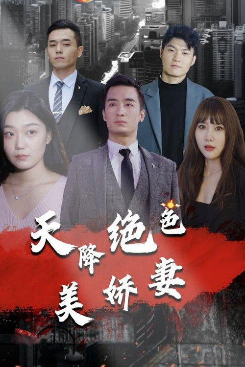天降绝色美娇妻 poster