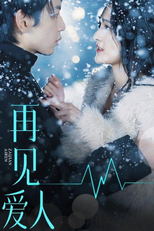 再见爱人 poster