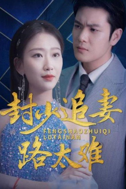 封少追妻路太难 poster