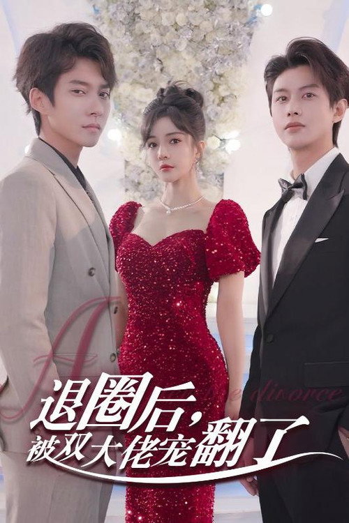 退圈后，被双大佬宠翻了 poster