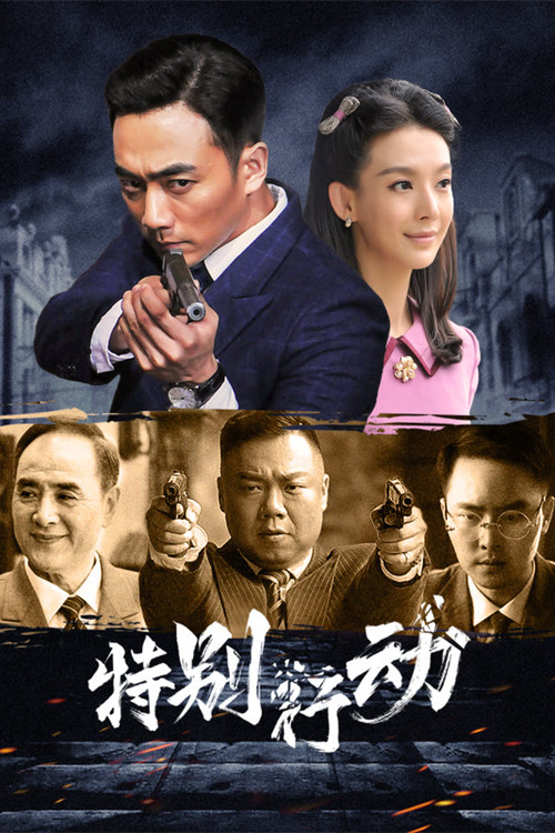 Special Action poster