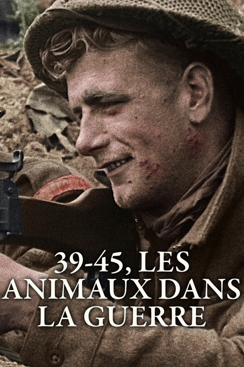 39-45, les animaux dans la guerre poster