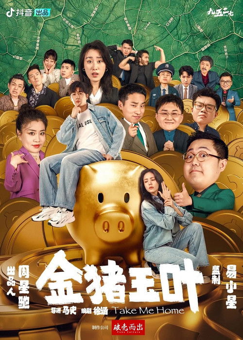 Take Me Home poster