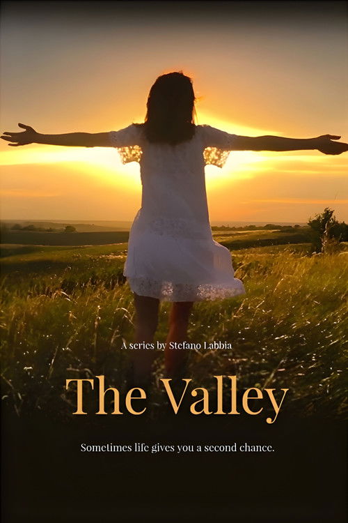 The Valley poster