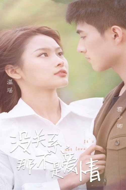 没关系,那不是爱情 poster