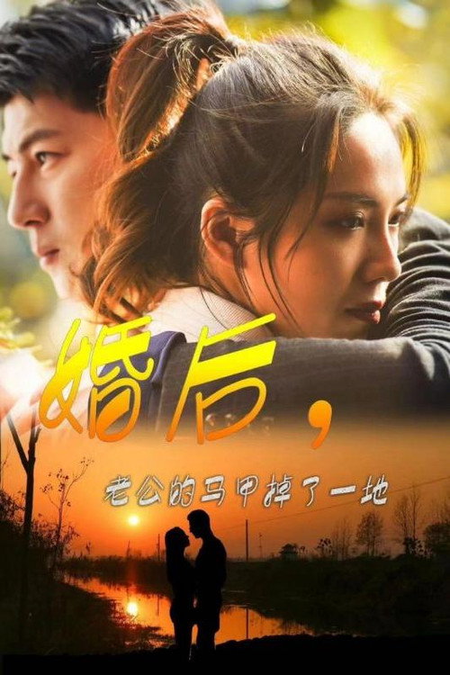婚后,老公的马甲掉了一地 poster
