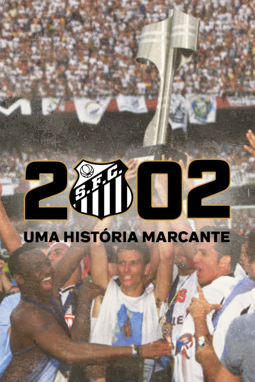 2002: A Remarkable Story poster