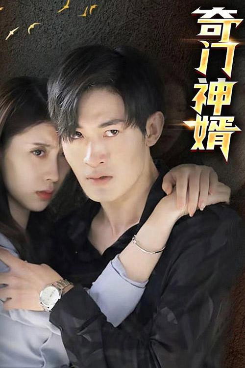 奇门神婿 poster
