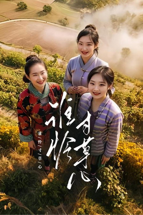 谁怜寸草心 poster
