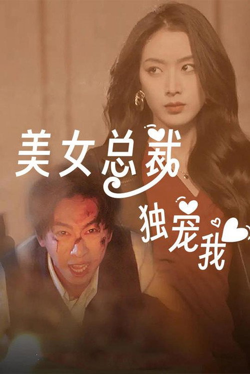 美女总裁独宠我 poster
